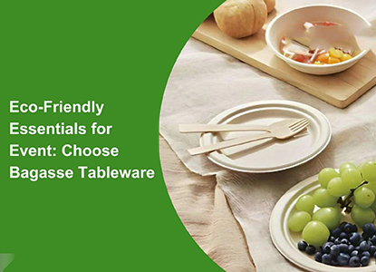 Sustainable Biodegradable Tableware Wholesalers For Eco Friendly Food Service in India