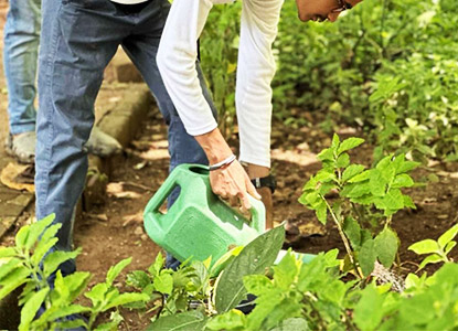 Creative Tree Plantation and Landscaping Solutions for Sustainable Cities in India