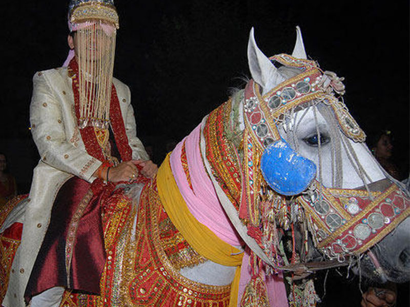 Ghori Service