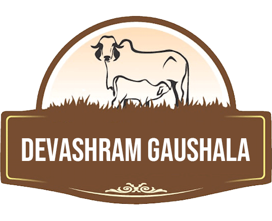 Gaushala in Dwarka Delhi, Best Gaushala in Dwarka Delhi, Pure Cow Milk Gaushala Dwarka Delhi, Free Cow Milk for Patient in Dwarka Delhi, Cow Milk without injection in Dwarka Delhi, Cow Milk without Water in Dwarka Delhi
